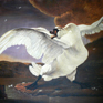 The Threatened Swan Big - Jan Asselijn
